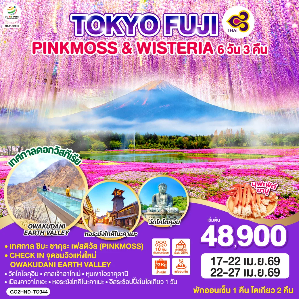ทัวร์ญี่ปุ่น TOKYO FUJI PINKMOSS & WISTERIA 6วัน 3คืน (TG)
